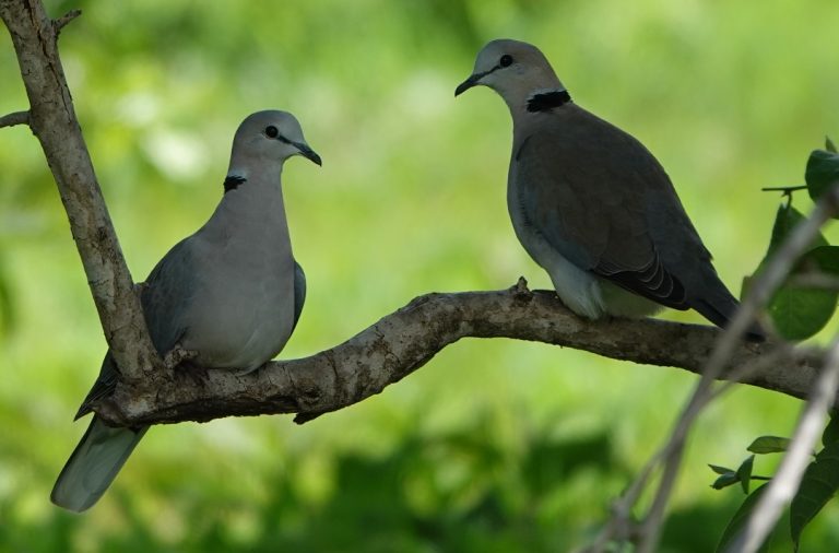 561ffc53-5aef-417c-8a3c-5a97674bb314