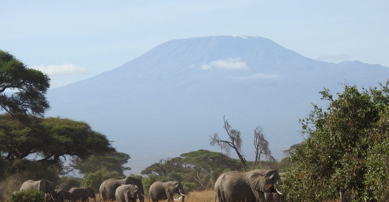 Exploring the Mountains of Tanzania: A Journey Above the Clouds