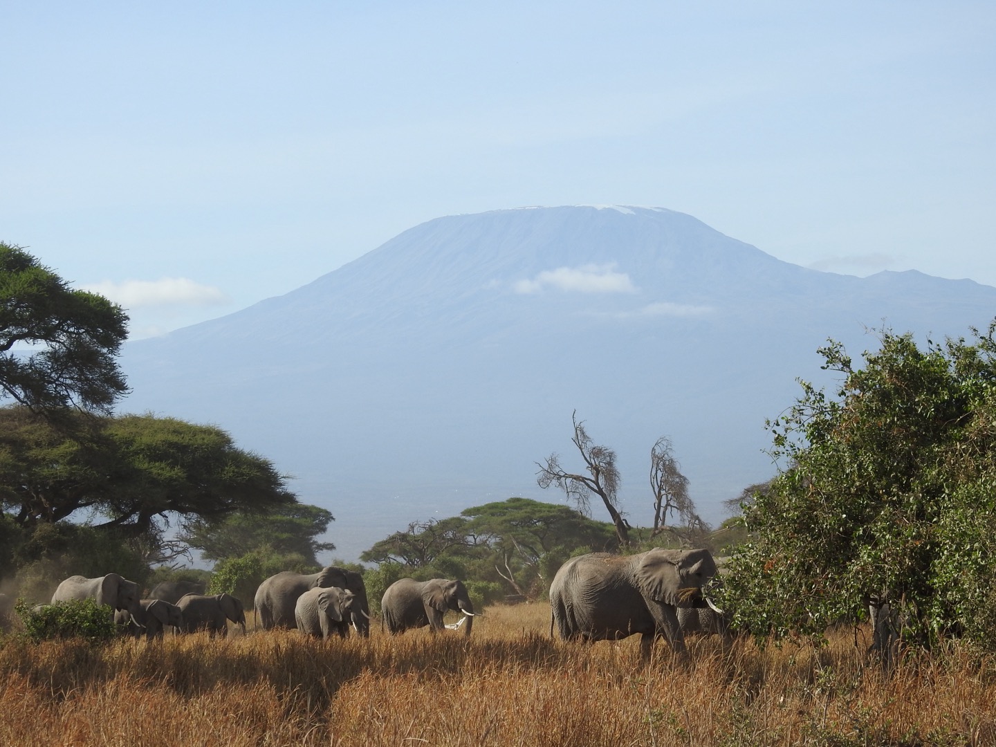 Exploring the Mountains of Tanzania: A Journey Above the Clouds