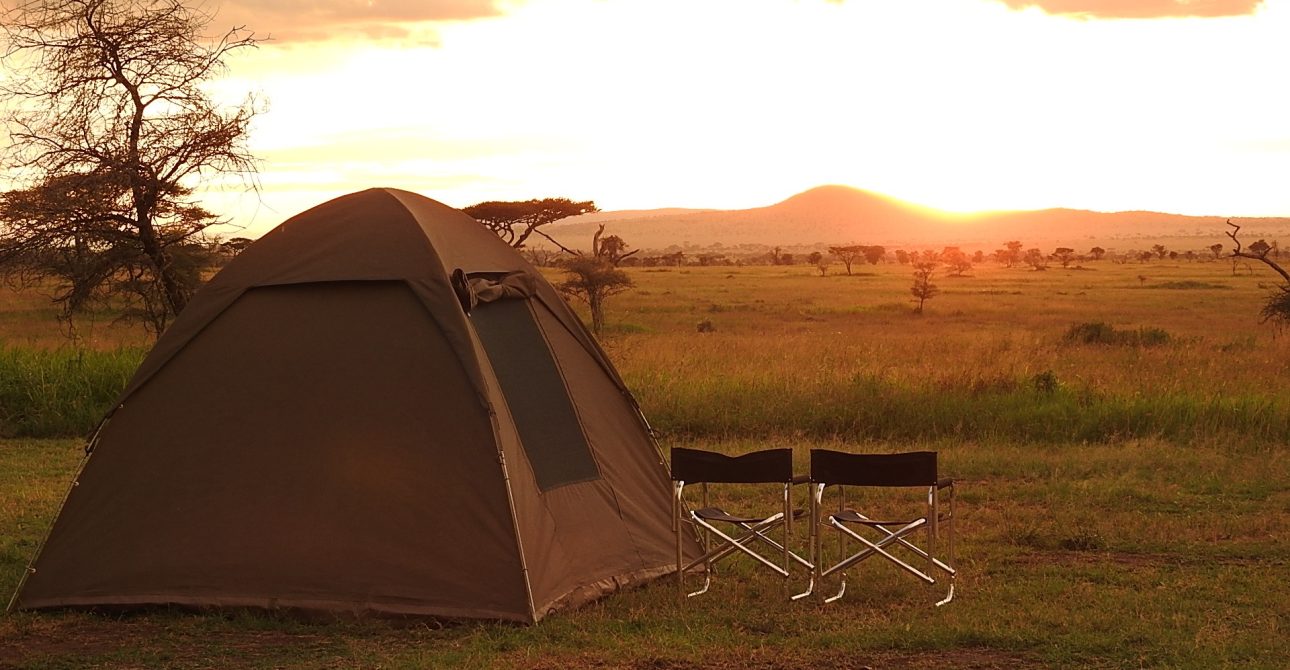 Tanzania Holiday for Couples: A Romantic Escape into the Wild