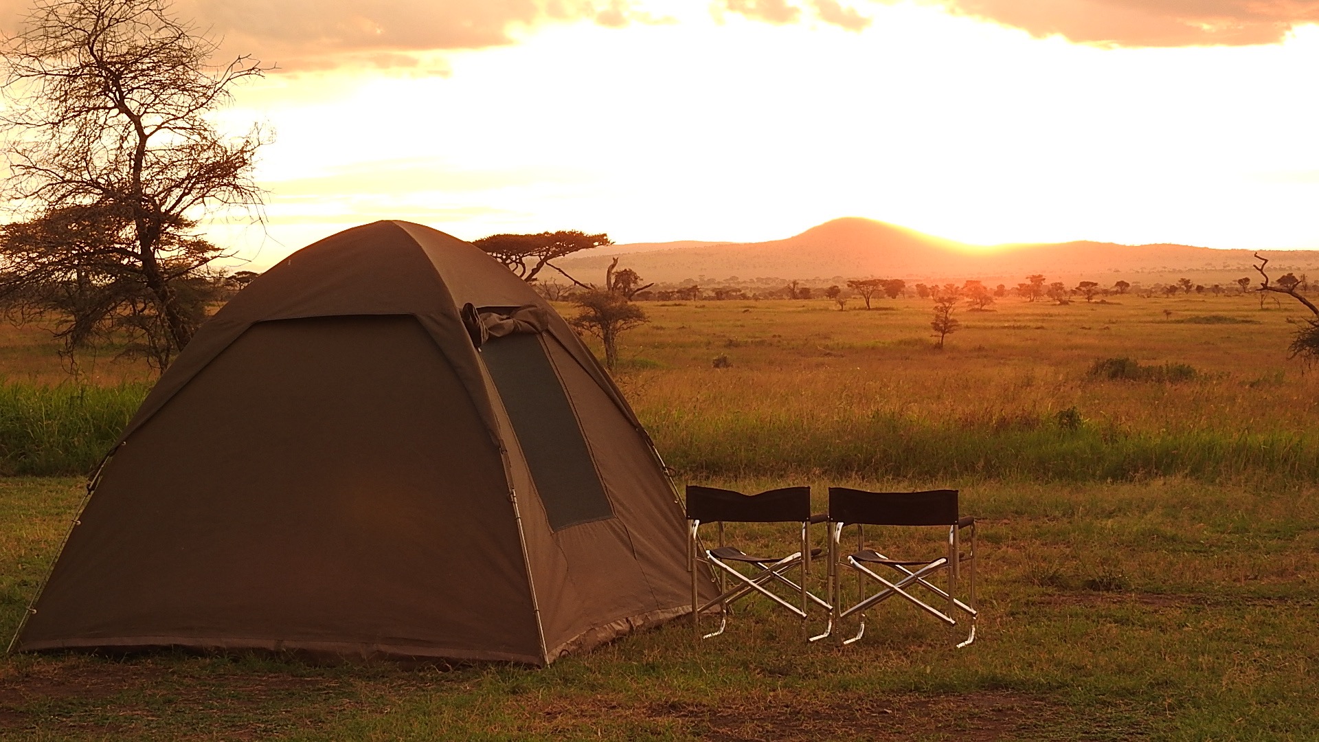 Tanzania Holiday for Couples: A Romantic Escape into the Wild