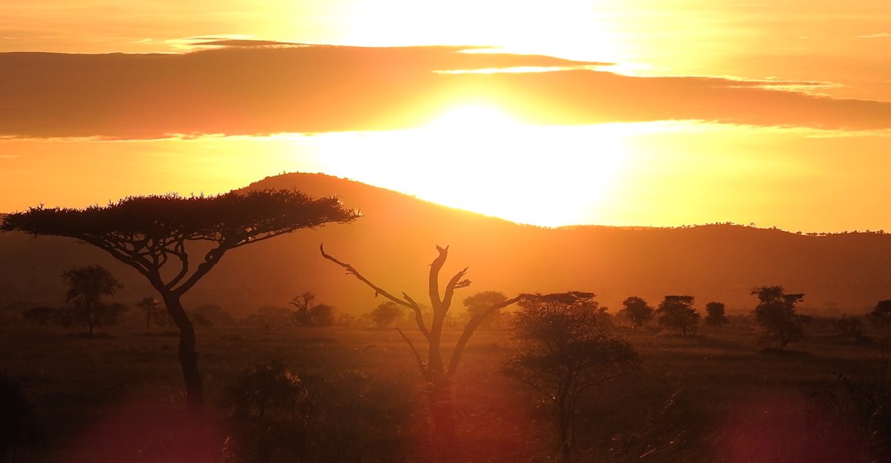 Religion in Tanzania: A Harmonious Blend of Faiths