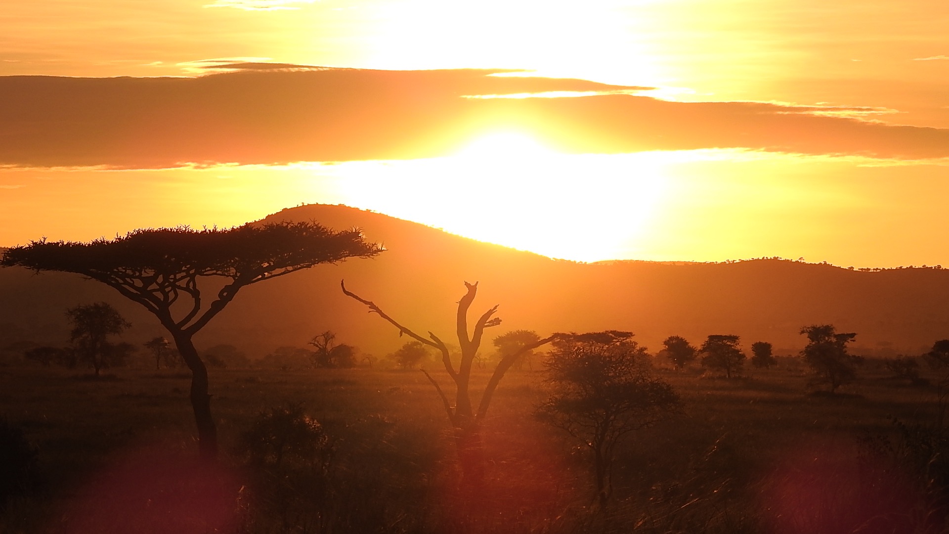 Religion in Tanzania: A Harmonious Blend of Faiths