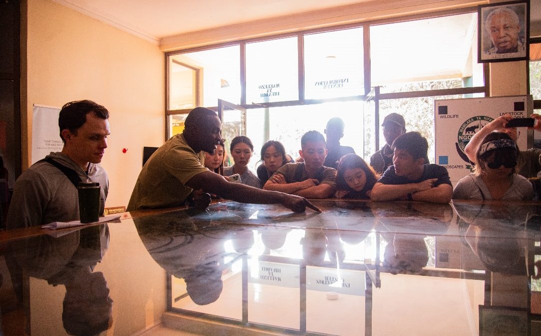 How to Plan Your First Safari Vacation: The Ultimate Guide