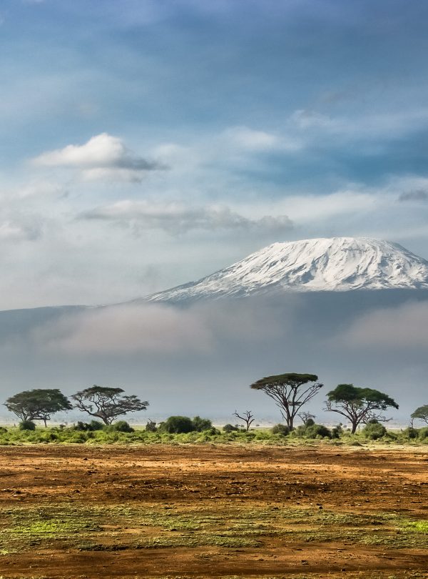 Kilimanjaro 2