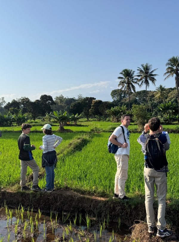 b4567f2a-8bb9-4795-a62b-835b9ad21ae9