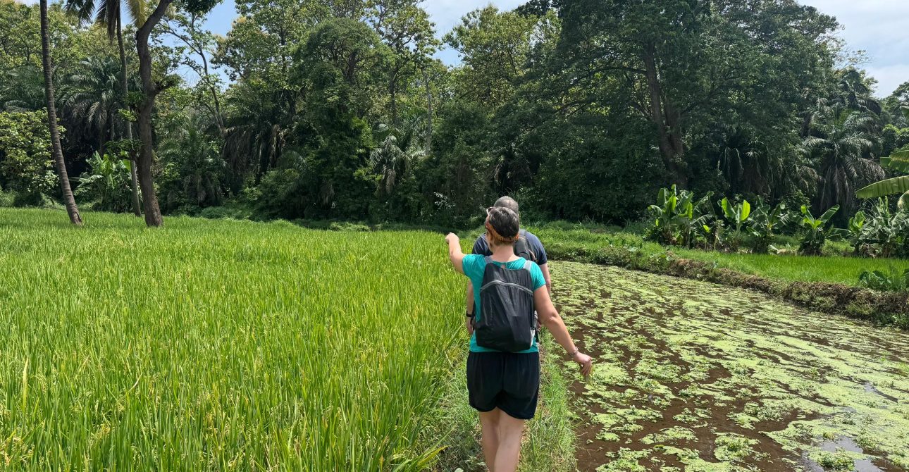 Agro Tour Experiences in Tanzania.
