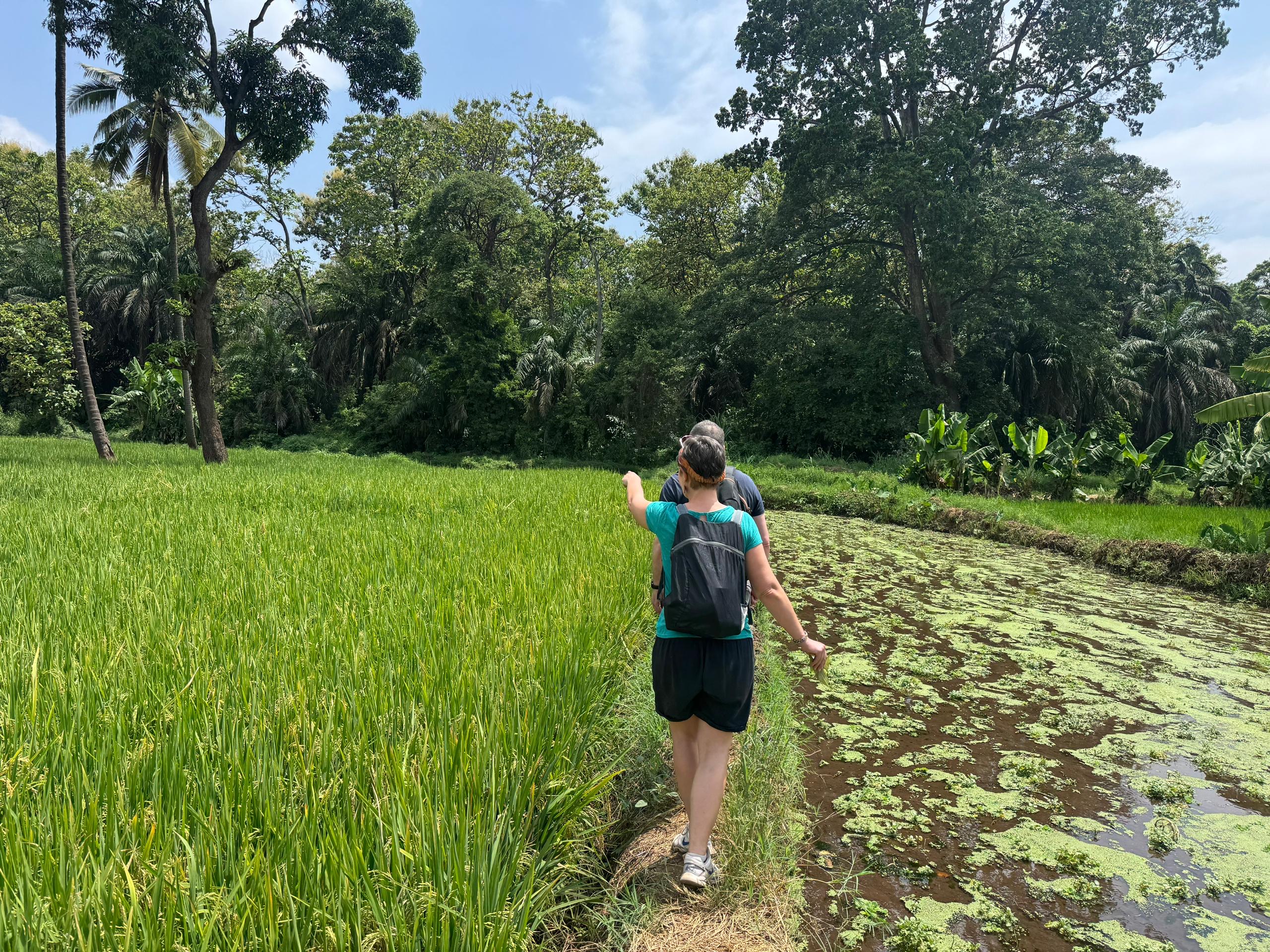 Agro Tour Experiences in Tanzania.