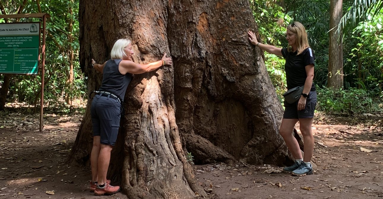 Rau Forest Tour Experience.